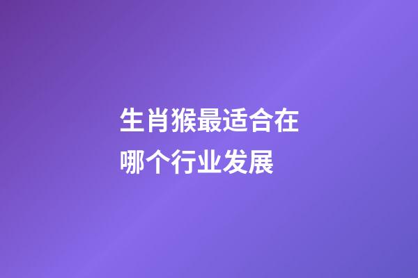 生肖猴最适合在哪个行业发展