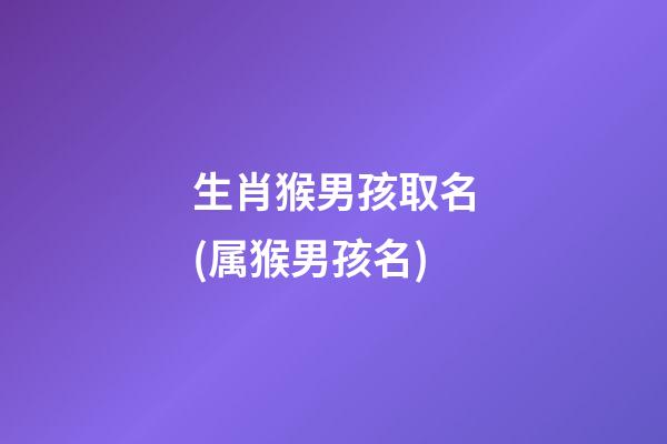 生肖猴男孩取名(属猴男孩名)