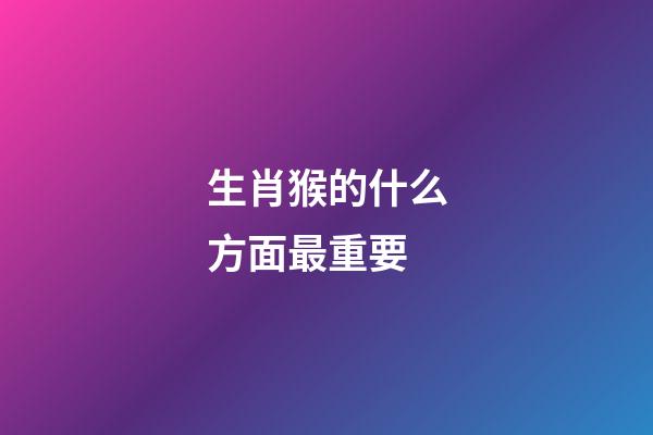 生肖猴的什么方面最重要