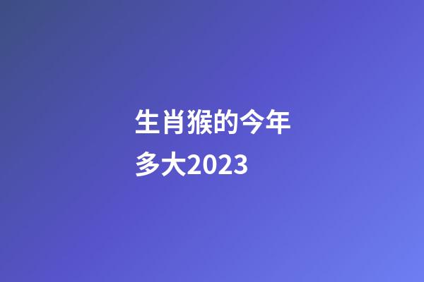 生肖猴的今年多大2023