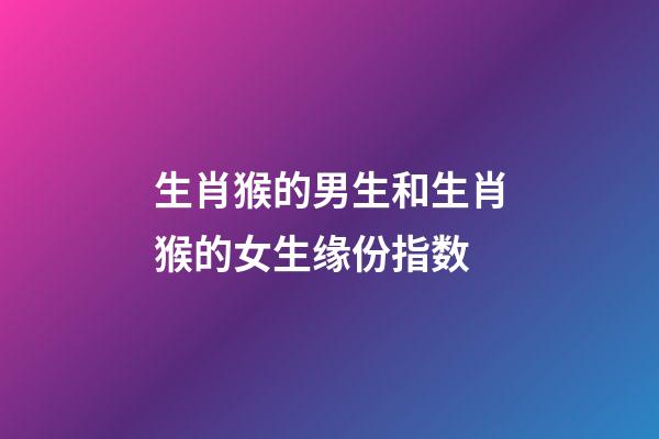 生肖猴的男生和生肖猴的女生缘份指数