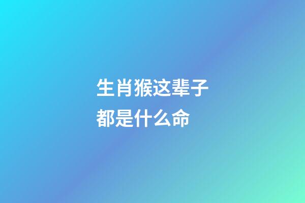 生肖猴这辈子都是什么命