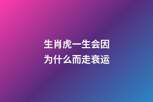 生肖虎一生会因为什么而走衰运