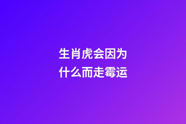 生肖虎会因为什么而走霉运