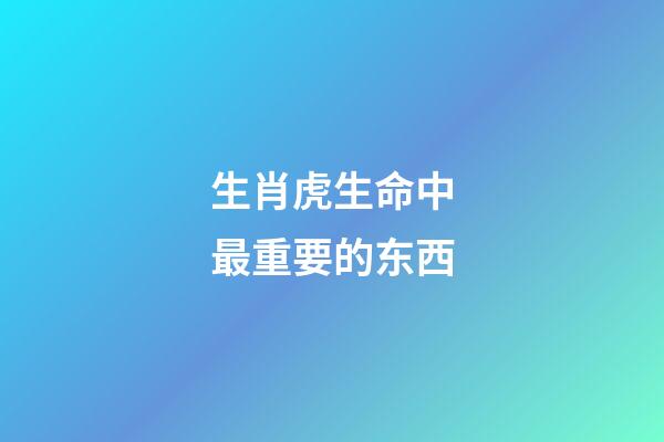 生肖虎生命中最重要的东西