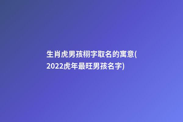 生肖虎男孩栩字取名的寓意(2022虎年最旺男孩名字)