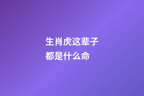 生肖虎这辈子都是什么命