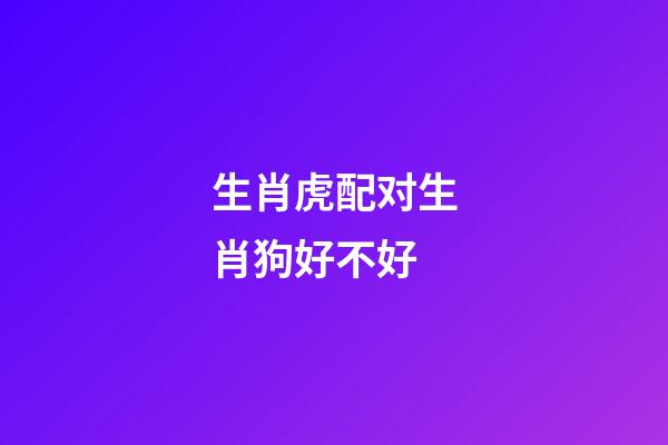 生肖虎配对生肖狗好不好