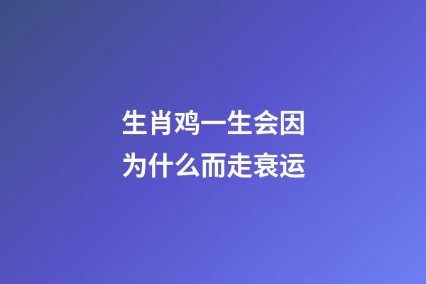 生肖鸡一生会因为什么而走衰运