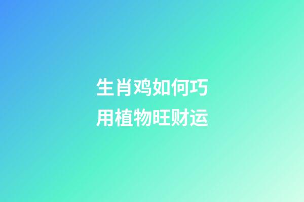 生肖鸡如何巧用植物旺财运