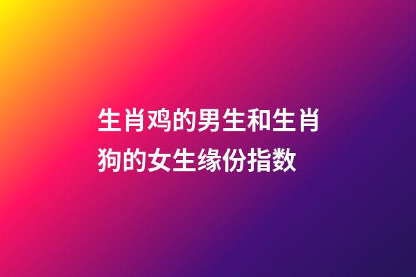 生肖鸡的男生和生肖狗的女生缘份指数
