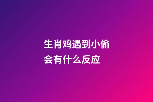 生肖鸡遇到小偷会有什么反应