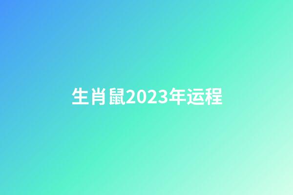 生肖鼠2023年运程