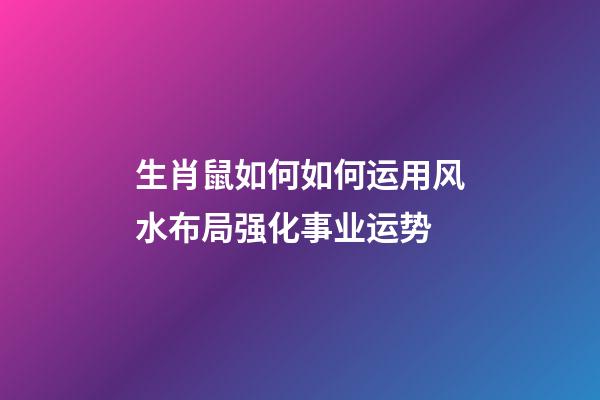 生肖鼠如何如何运用风水布局强化事业运势
