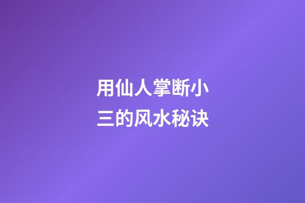 用仙人掌断小三的风水秘诀