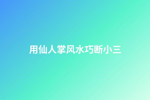 用仙人掌风水巧断小三