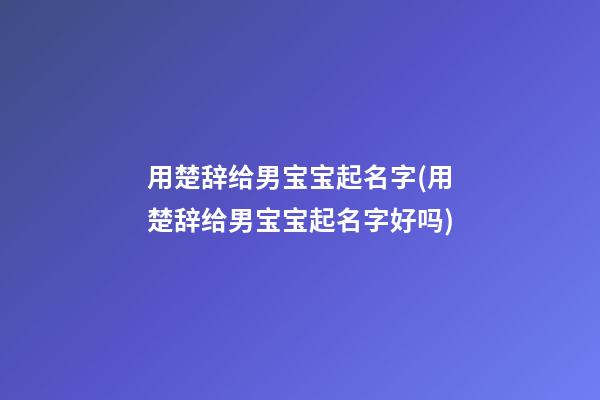 用楚辞给男宝宝起名字(用楚辞给男宝宝起名字好吗)