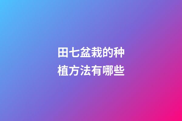 田七盆栽的种植方法有哪些