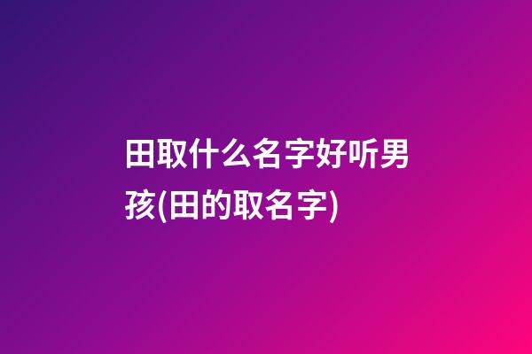 田取什么名字好听男孩(田的取名字)