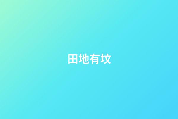 田地有坟