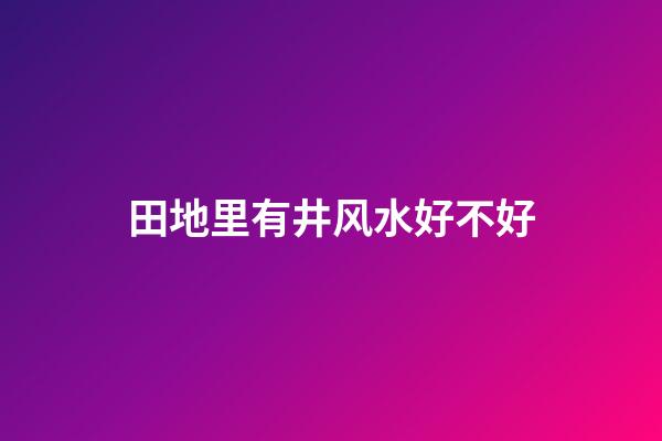田地里有井风水好不好