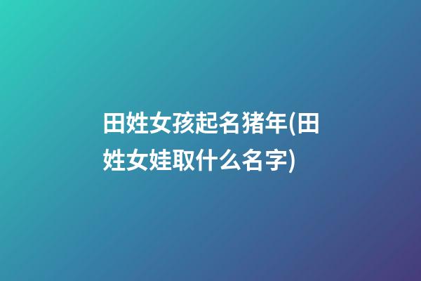 田姓女孩起名猪年(田姓女娃取什么名字)