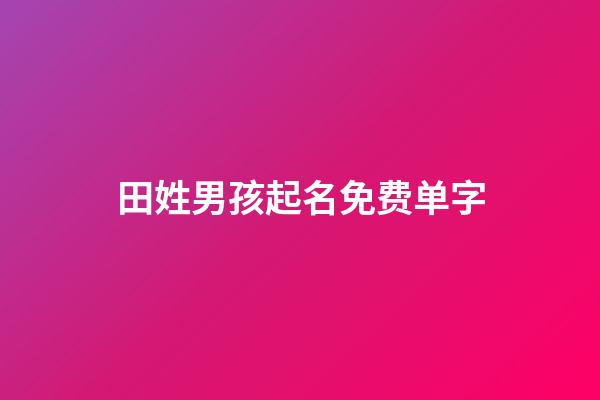田姓男孩起名免费单字