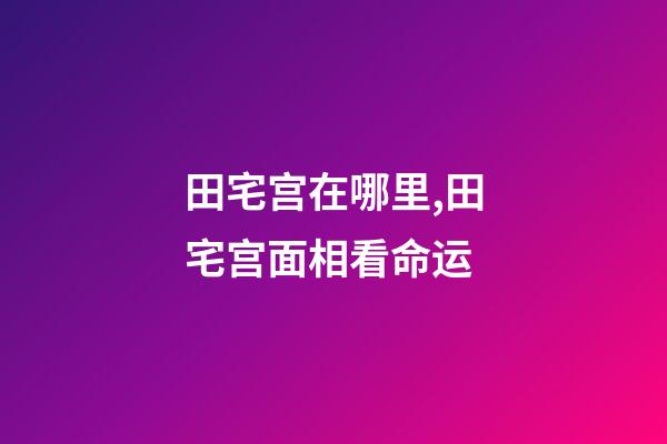 田宅宫在哪里,田宅宫面相看命运