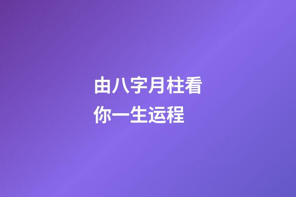 由八字月柱看你一生运程
