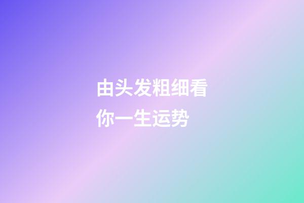 由头发粗细看你一生运势