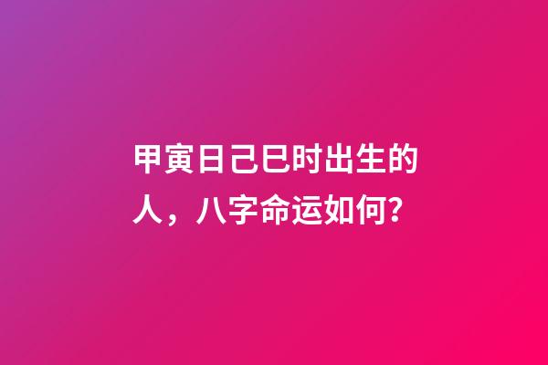 甲寅日己巳时出生的人，八字命运如何？