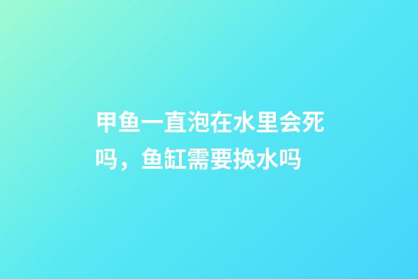 甲鱼一直泡在水里会死吗，鱼缸需要换水吗-第1张-观点-玄机派