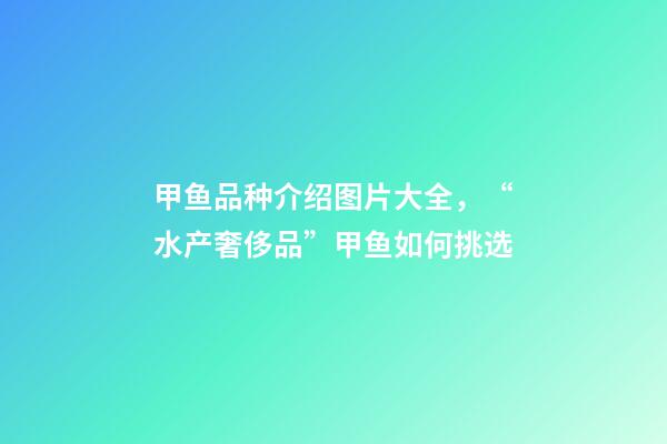 甲鱼品种介绍图片大全，“水产奢侈品”甲鱼如何挑选-第1张-观点-玄机派