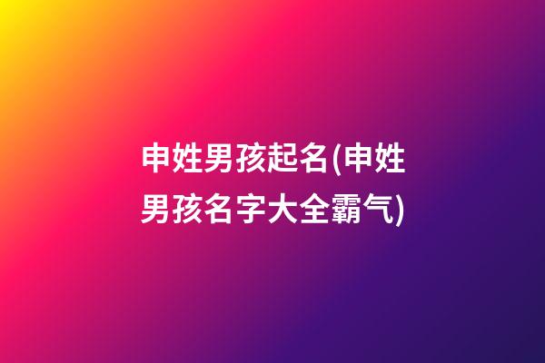 申姓男孩起名(申姓男孩名字大全霸气)