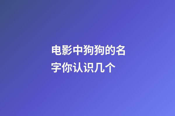 电影中狗狗的名字你认识几个