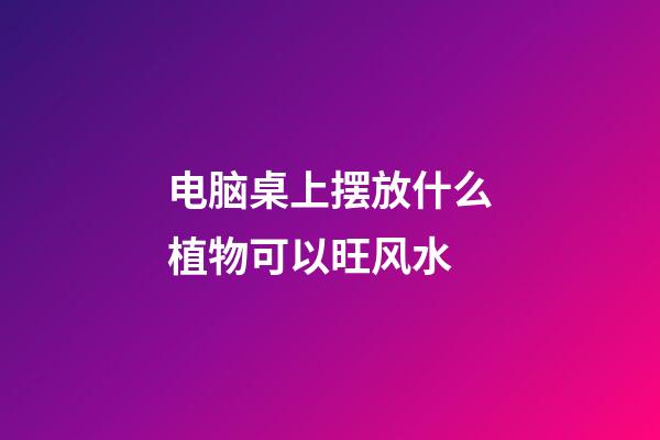 电脑桌上摆放什么植物可以旺风水