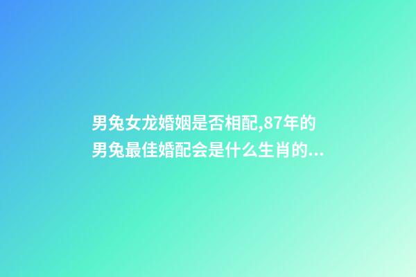 男兔女龙婚姻是否相配,87年的男兔最佳婚配会是什么生肖的女性-第1张-观点-玄机派