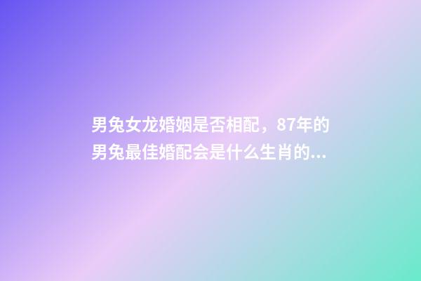 男兔女龙婚姻是否相配，87年的男兔最佳婚配会是什么生肖的女性-第1张-观点-玄机派
