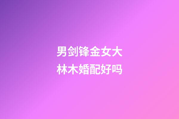 男剑锋金女大林木婚配好吗
