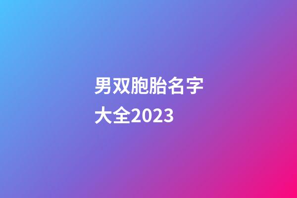 男双胞胎名字大全2023