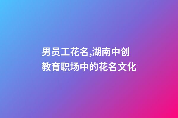 男员工花名,湖南中创教育职场中的花名文化-第1张-观点-玄机派