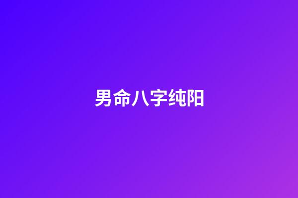 男命八字纯阳