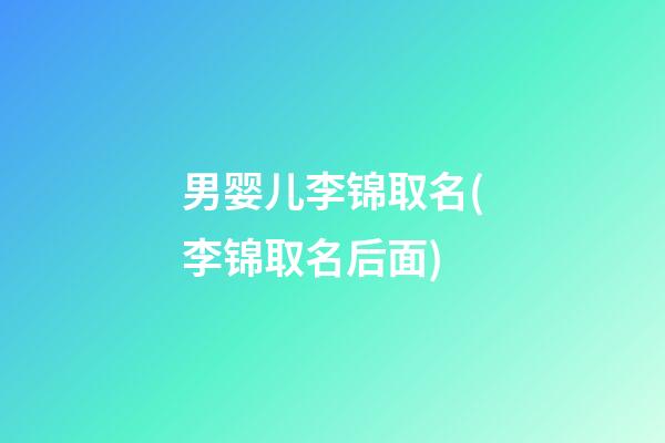 男婴儿李锦取名(李锦取名后面)