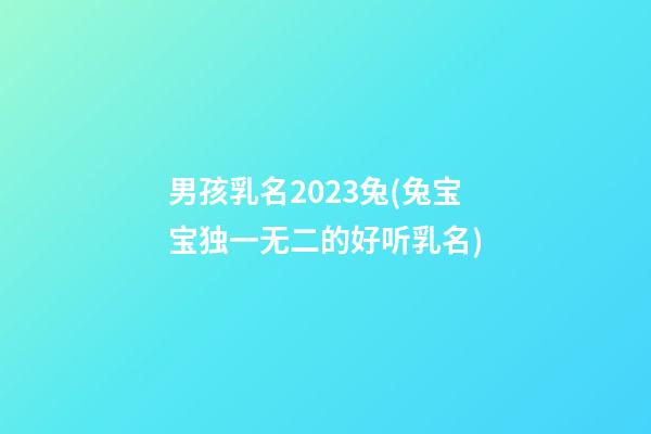 男孩乳名2023兔(兔宝宝独一无二的好听乳名)