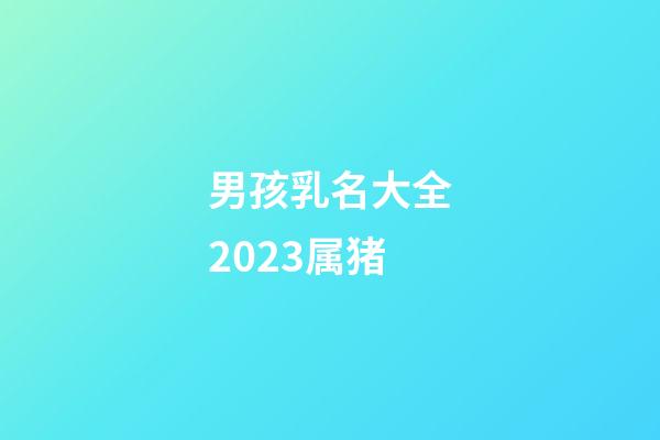 男孩乳名大全2023属猪
