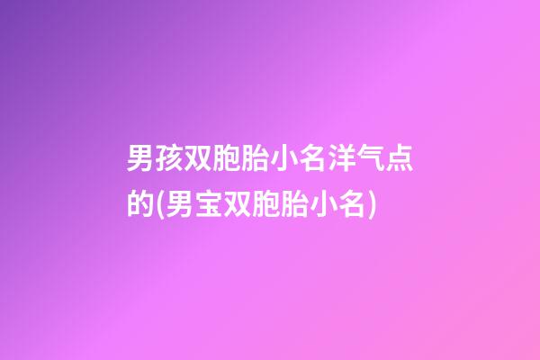 男孩双胞胎小名洋气点的(男宝双胞胎小名)