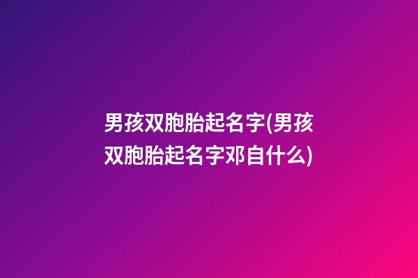 男孩双胞胎起名字(男孩双胞胎起名字邓自什么)