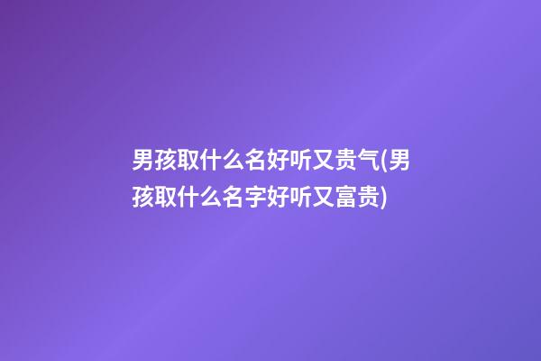 男孩取什么名好听又贵气(男孩取什么名字好听又富贵)