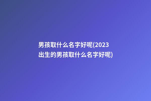 男孩取什么名字好呢(2023出生的男孩取什么名字好呢)
