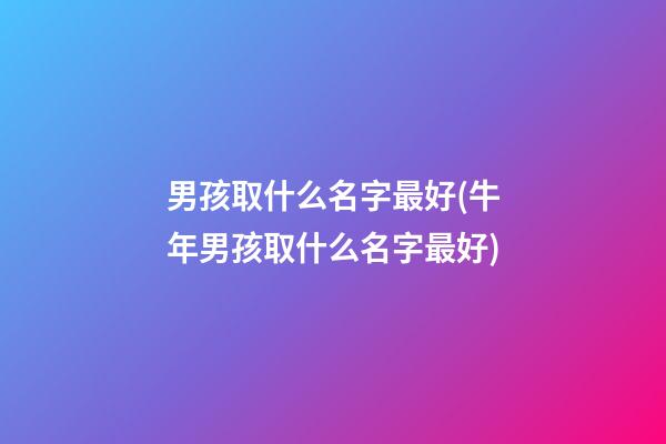 男孩取什么名字最好(牛年男孩取什么名字最好)